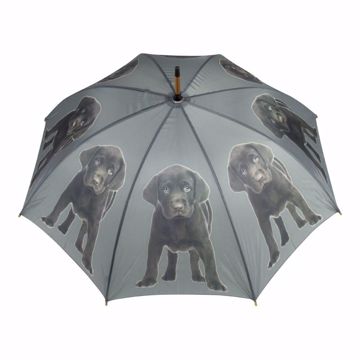 Umbrella Labrador Brown