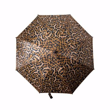 Umbrella Leopard