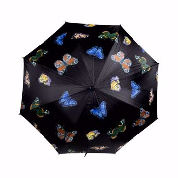 Umbrella Butterflies